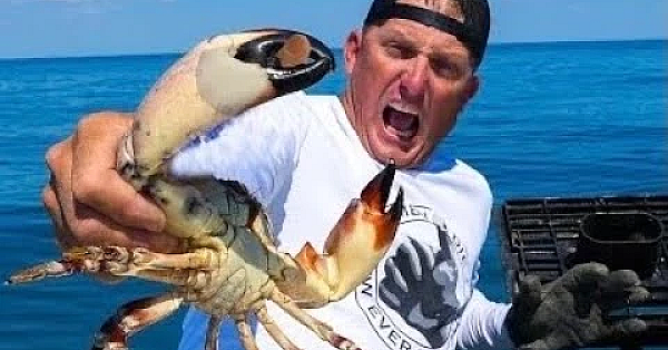 Monster Stone Crab Destroyed My Thumb {catch Clean Cook} Best Crab On Earth!