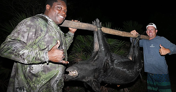 Hog Hunting With Warren Sapp! {catch Clean Cook} Fried Wild Bacon