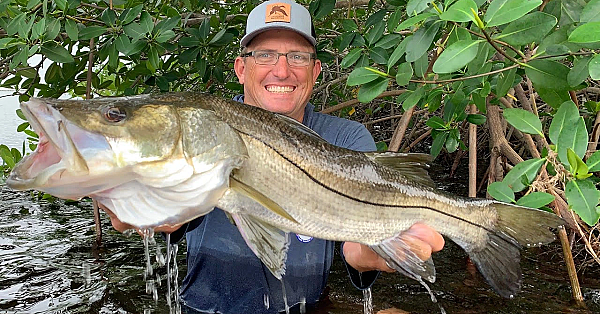 The Most Surprising {catch Clean Cook} Pan Seared Snook With Garlic Chili Aioli