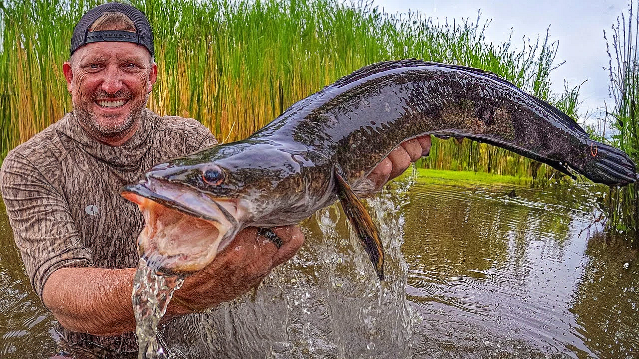 These Fish Have Taken Over South Florida! {catch Clean Cook}
