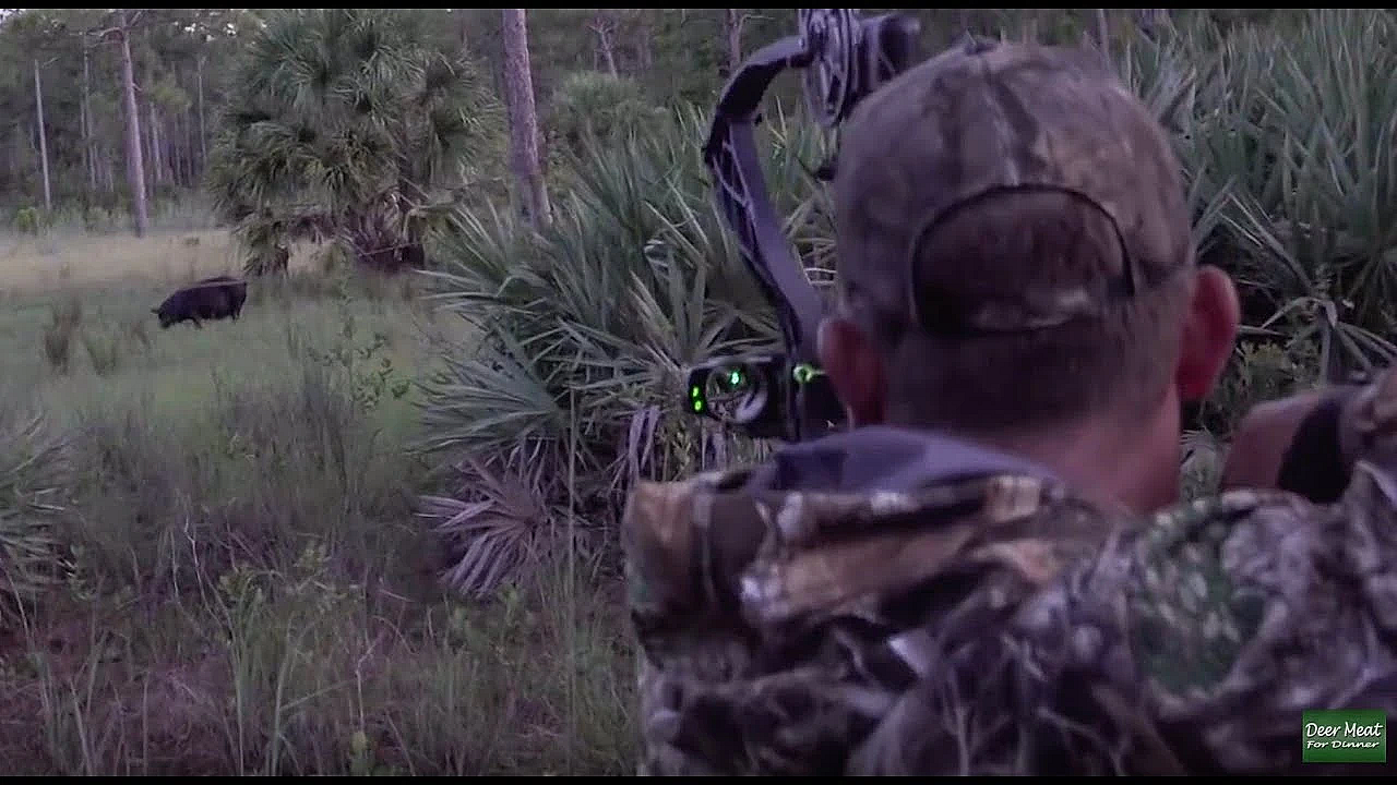 Monster Wild Boar Spot N' Stalk {catch Clean Cook} Home Made Country Sausage