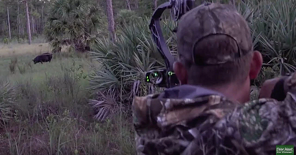 Monster Wild Boar Spot N' Stalk {catch Clean Cook} Home Made Country Sausage