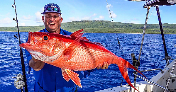 Absolute Monster Queen Snappers!!! {catch Clean Cook} Organic Coconut Crusted Onaga Fillet