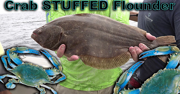 Crab Stuffed Flounder {catch Clean Cook} Virginia Beach Style