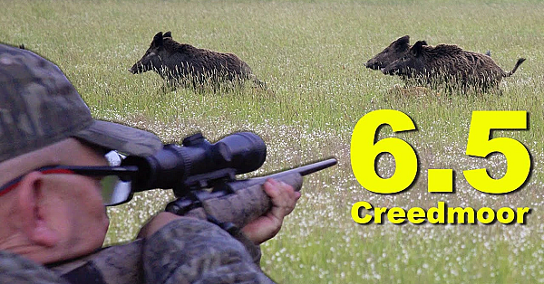 6.5 Creedmoor Vs Pack Of Running Wild Boar!!! {catch Clean Cook} Orange Wood Smoked Pork