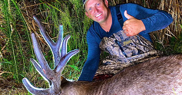 Record Sambar Stag! {catch Clean Cook} Sun Dried Deer Meat For Dinner