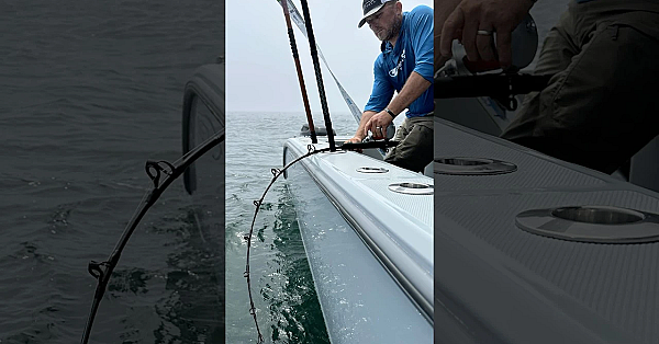 I Don’t Wanna Do This!