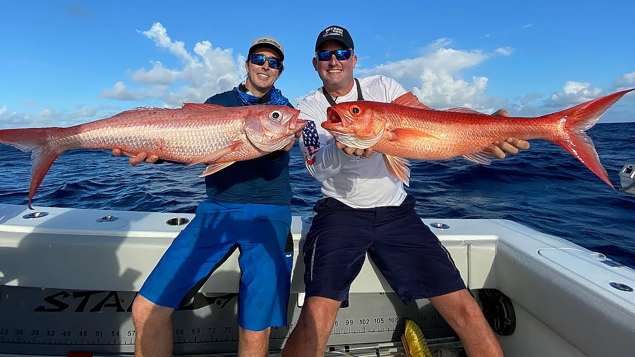 Giant Queen Snapper On Tiny Rod!!! {catch Clean Cook} Ft. Stanzfam