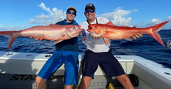 Giant Queen Snapper On Tiny Rod!!! {catch Clean Cook} Ft. Stanzfam