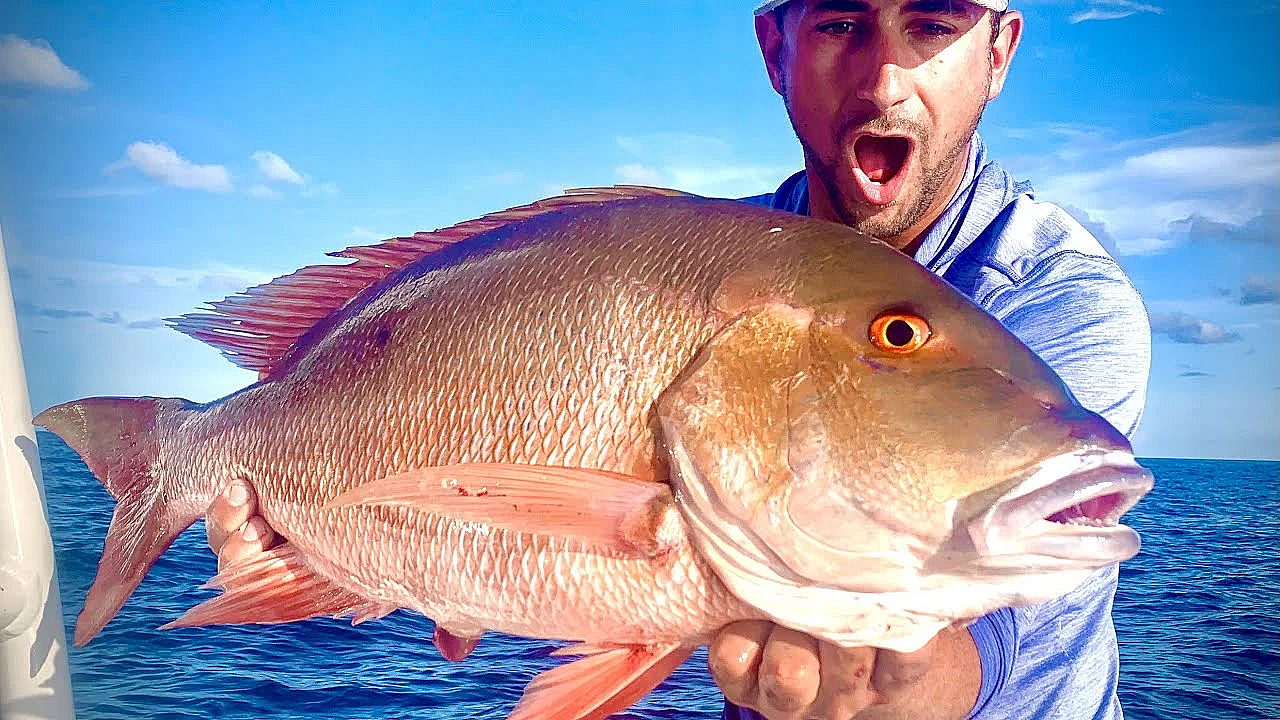 Massive Mutton And Sailfish {catch Clean Cook} Twisted Tuna Recipe