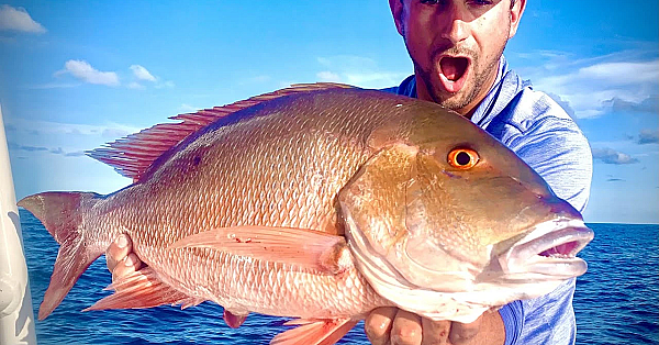 Massive Mutton And Sailfish {catch Clean Cook} Twisted Tuna Recipe