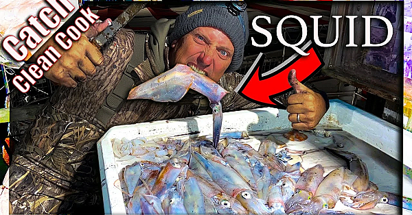 Wild Calamari {catch Clean Cook} Nantucket Seafood On The Dock!!!