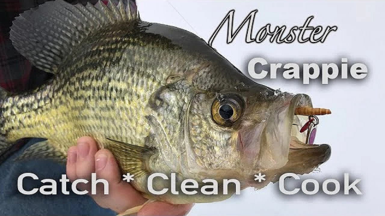 Jiggin' Monster Crappie In The Ultra Thick Brush!!! {catch Clean Cook} A Family Tradition!