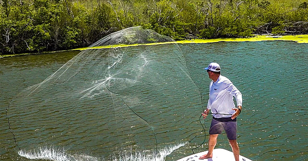 Castnetting Thousands Of Fish - Butterflied Yellowtail Snapper! {catch Clean Cook} Us Virgin Islands