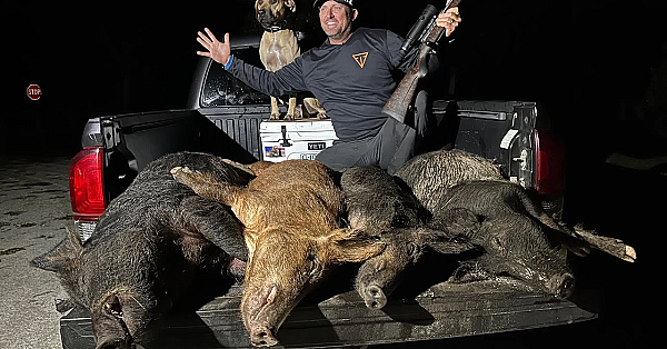 Wild Hog Hunting For Hurricane Victims! Free Bar-b-q For Everybody!!!!