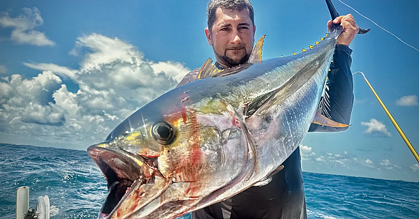 Massive Tunas Going Crazy! {catch Clean Cook} A Hurricane Made Us Stop Fishing!