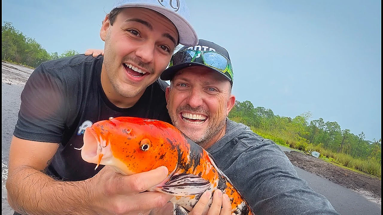 We're Moving Out! With Paul Cuffaro