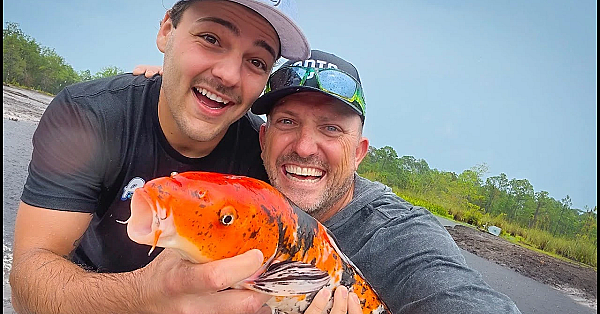 We're Moving Out! With Paul Cuffaro