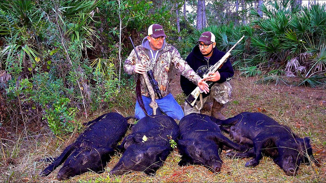 Wild Boar Ambush! 4 Giant Hogs!!!{catch Clean Cook} Filipino Style