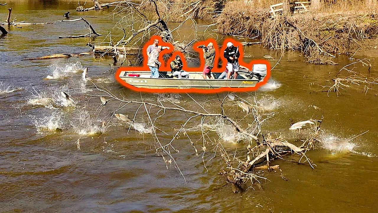 Bowfishing For Thousands Of Massive Flying Fish!!! {catch Clean Cook} Asian Carp