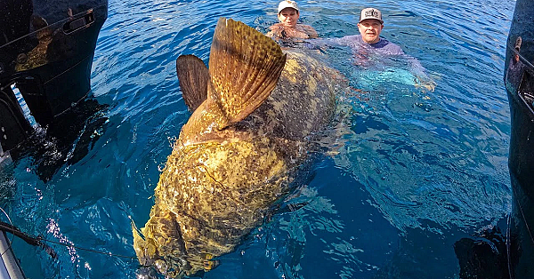 I Took A 93 Yr Old Great Grandpa Deep Sea Fishing {catch Clean Cook} And He Crushed It!!!!!