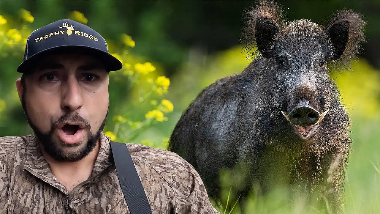 These Hogs Are Taking Over The New Ranch! {catch Clean Cook} Hogs N' Dirty Rice