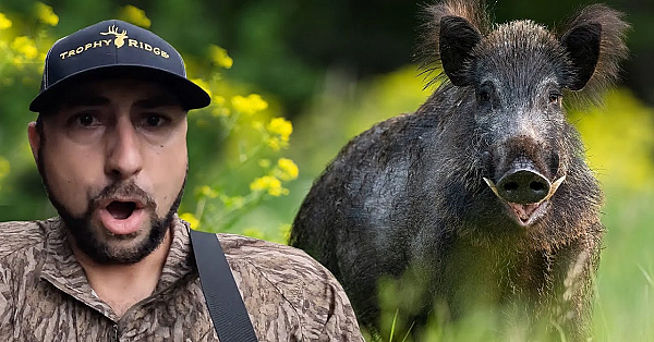 These Hogs Are Taking Over The New Ranch! {catch Clean Cook} Hogs N' Dirty Rice