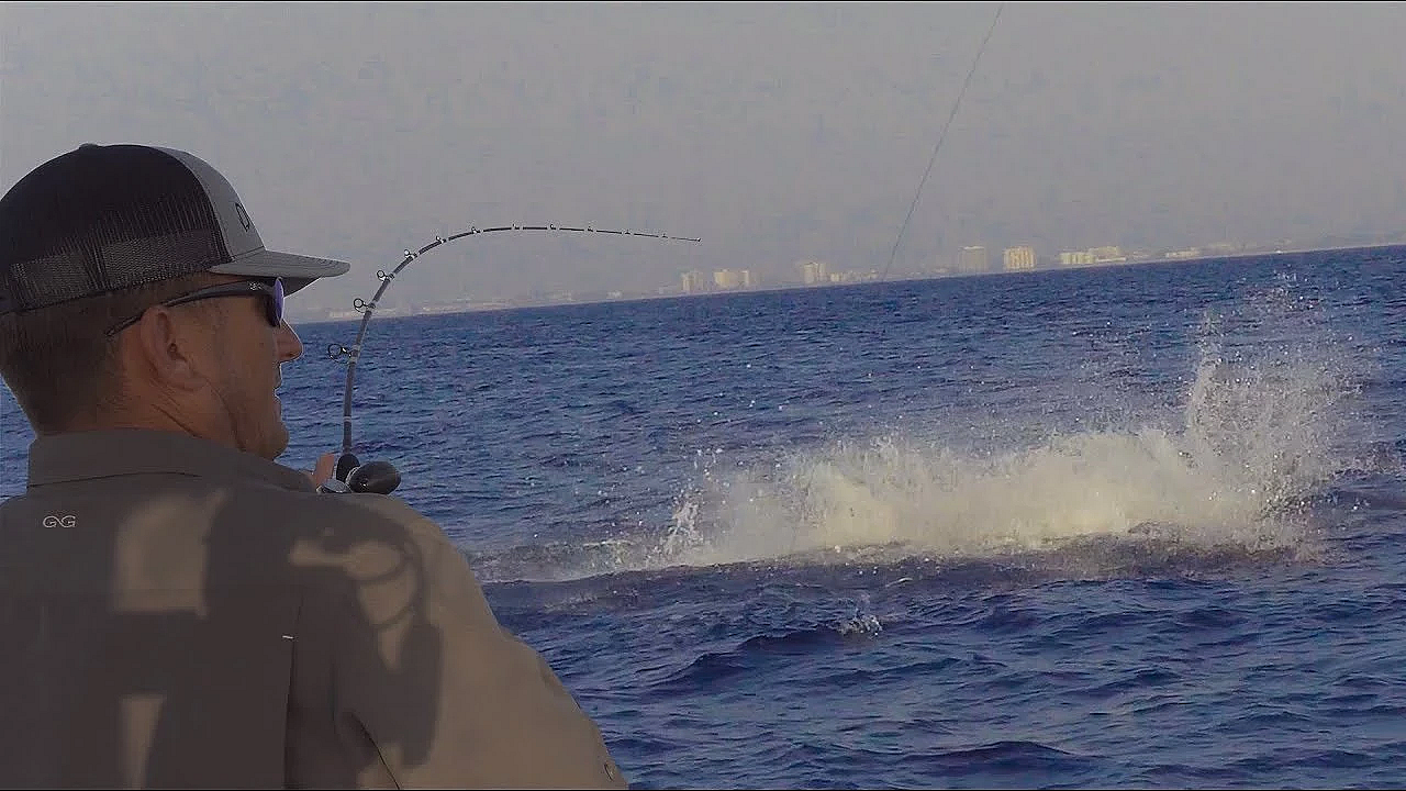 Monster Sharks Tried To Ruin My Day!!! {catch Clean Cook} Cnmi Finadeni