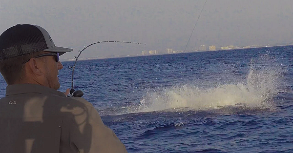 Monster Sharks Tried To Ruin My Day!!! {catch Clean Cook} Cnmi Finadeni