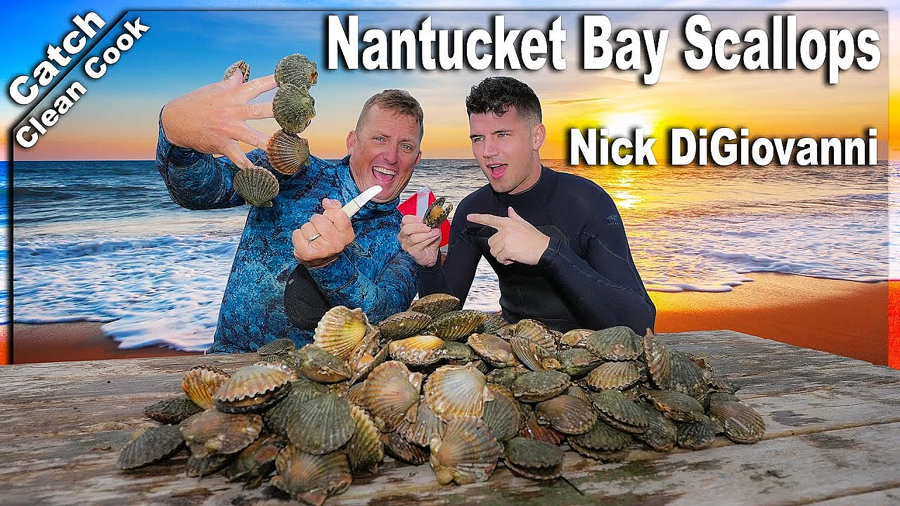 Succulent Scallops Cooked On The Beach! {catch Clean Cook} Ft. Nick Digiovanni