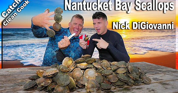 Succulent Scallops Cooked On The Beach! {catch Clean Cook} Ft. Nick Digiovanni