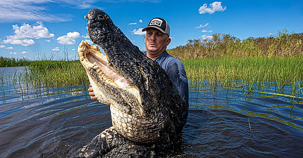 This Alligator Was Massive!!! {catch Clean Cook} Asian Alligator Bites With Sticky Sesame Sauce