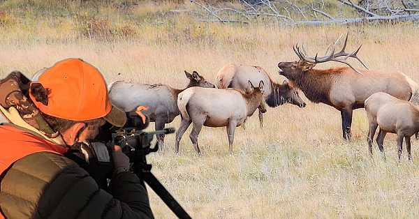 Our Hunting Partner Had No Feet And We Found A Massive Herd Of Elk!