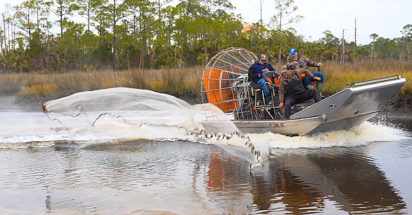 High Speed Air Boat Fishing! {catch Clean Cook} Redfish Vs Mullet