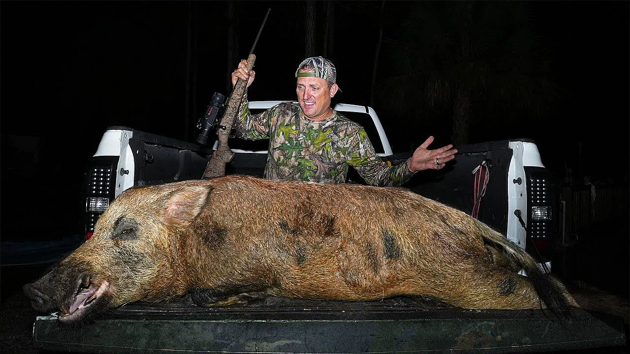 The Biggest Wild Boar I've Ever Seen!!!! {whole Slow Roasted Wild Pig}