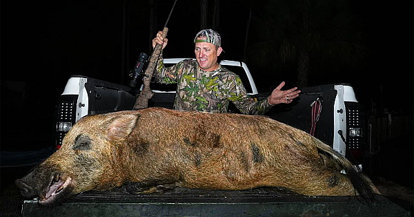 The Biggest Wild Boar I've Ever Seen!!!! {whole Slow Roasted Wild Pig}