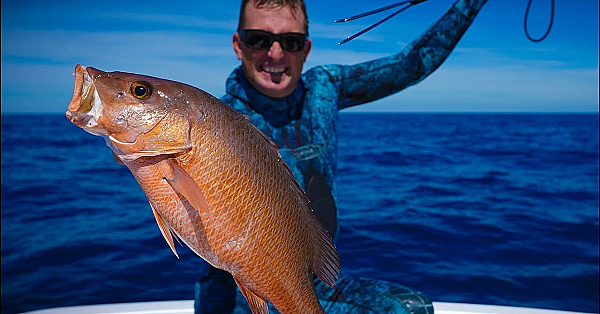 Spearing Monster Mango's With Primitive Paralyzer Pole-spear! {catch Clean Cook}
