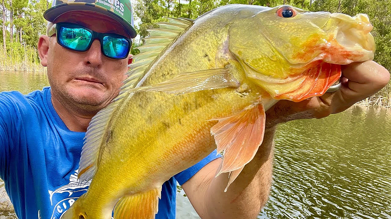 My Fish Are Starving To Death!!! Massive Ranch Overhaul!!!