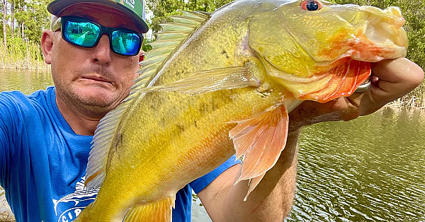 My Fish Are Starving To Death!!! Massive Ranch Overhaul!!!