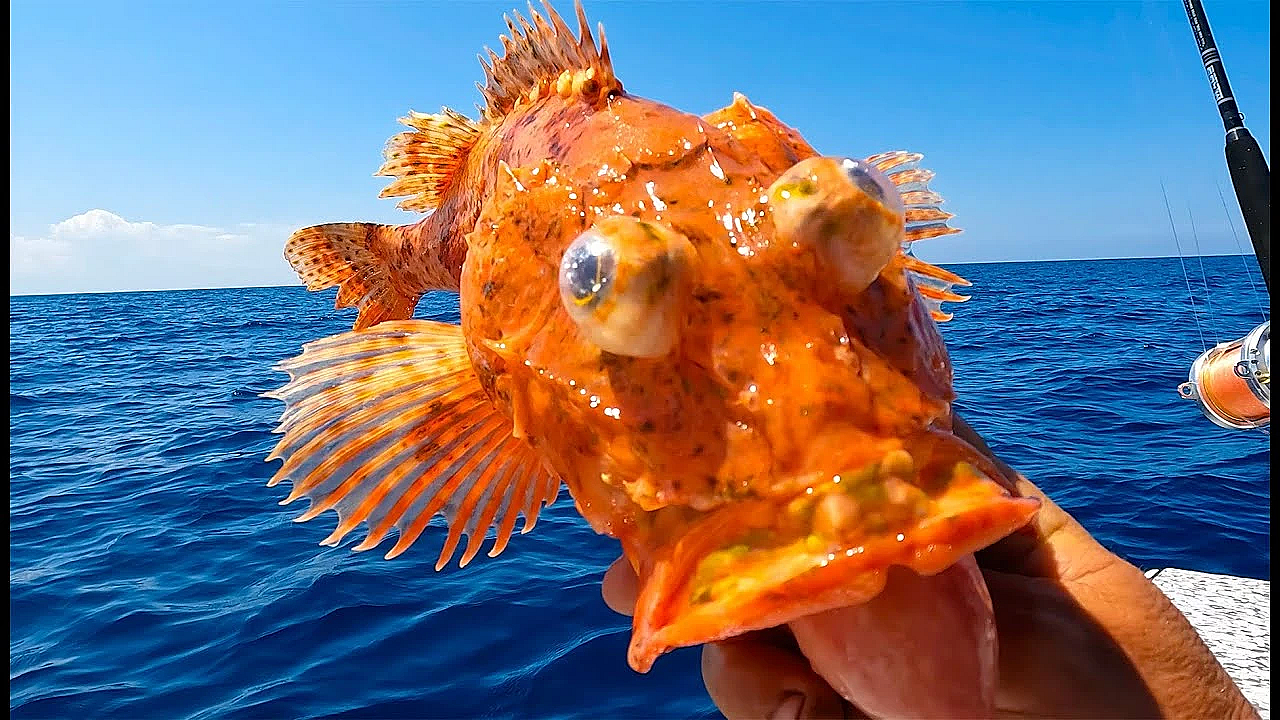 What The Heck Is This? Rob Needs10 Fish {catch Clean Cook} If It Were Easy, Everybody Would Do It!