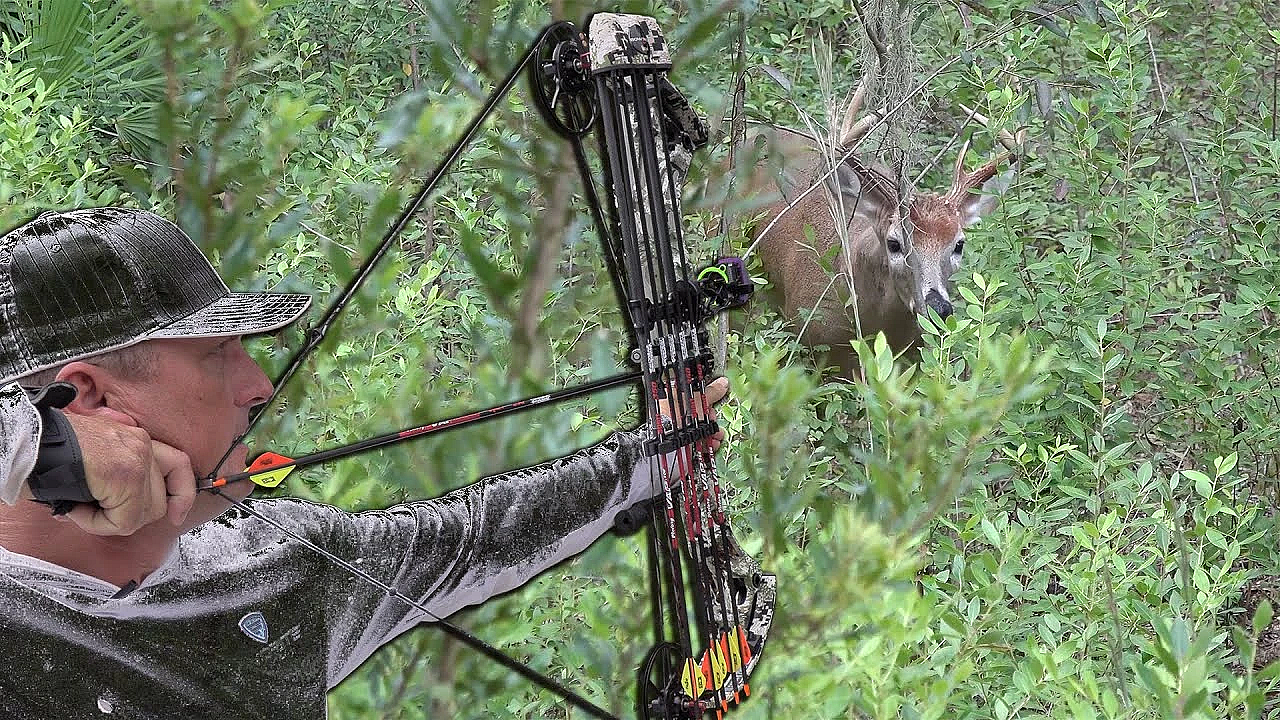 Buck With A Bow {stuffed Venison Heart} Public Land Adventure!
