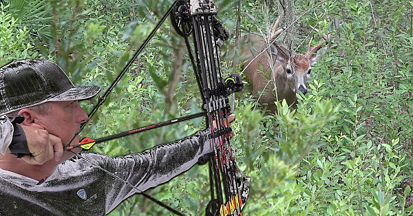 Buck With A Bow {stuffed Venison Heart} Public Land Adventure!