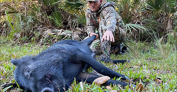 Wild Boar Hunting With 6.5 Creedmoor {catch Clean Cook} Slow Roasted Organic Pork Ham