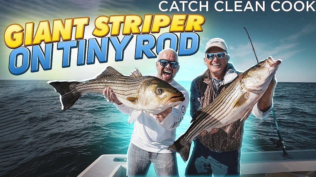 Giant Stripe Bass On Tiny Rod!!! {catch Clean Cook} Prosciutto Wrapped Sea Bass