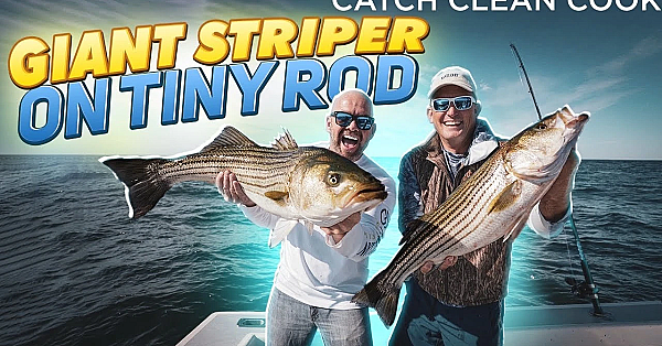 Giant Stripe Bass On Tiny Rod!!! {catch Clean Cook} Prosciutto Wrapped Sea Bass