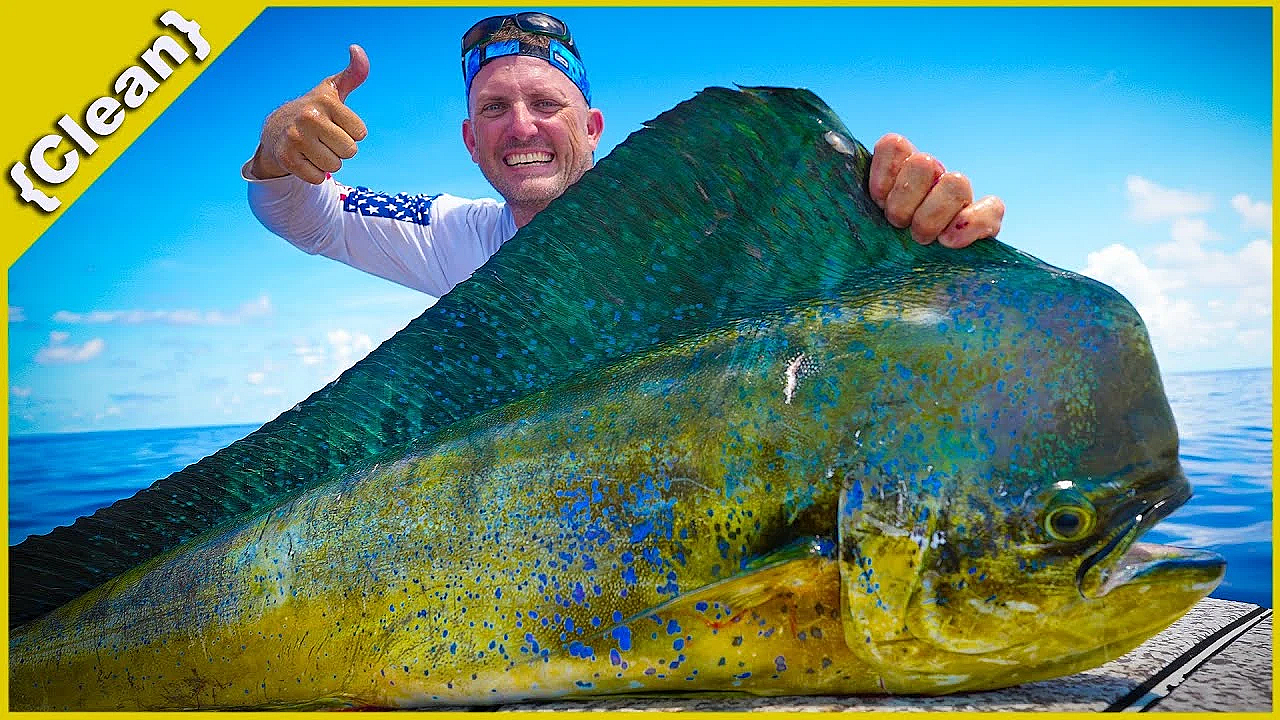 How To Fillet A Massive Mahi Mahi Like A Pro! {clean} 2 Different Styles