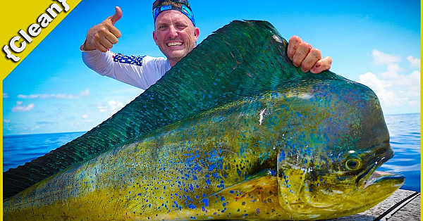 How To Fillet A Massive Mahi Mahi Like A Pro! {clean} 2 Different Styles