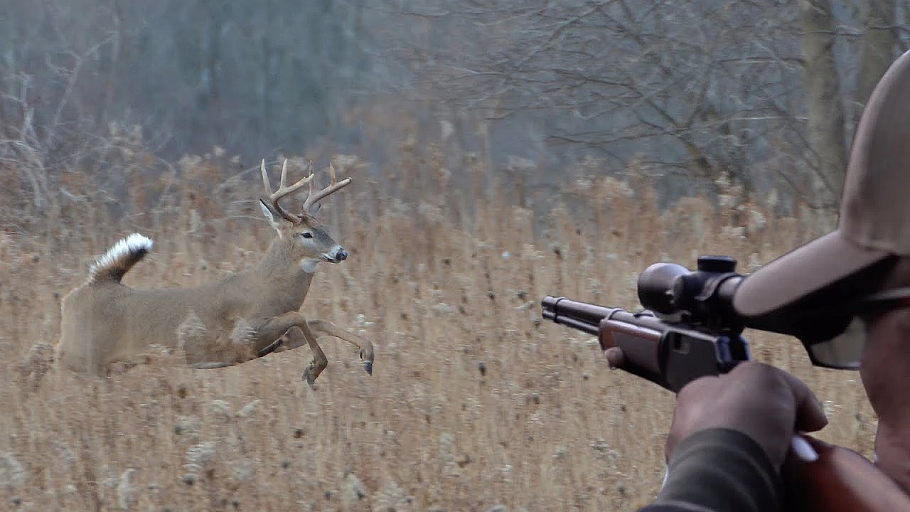 This Buck Nearly Ran Us Over!!! {catch Clean Cook} Defensive Shooting!!!