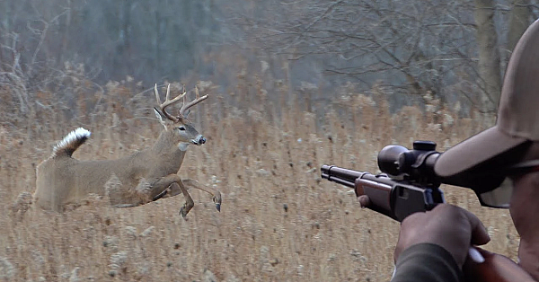 This Buck Nearly Ran Us Over!!! {catch Clean Cook} Defensive Shooting!!!