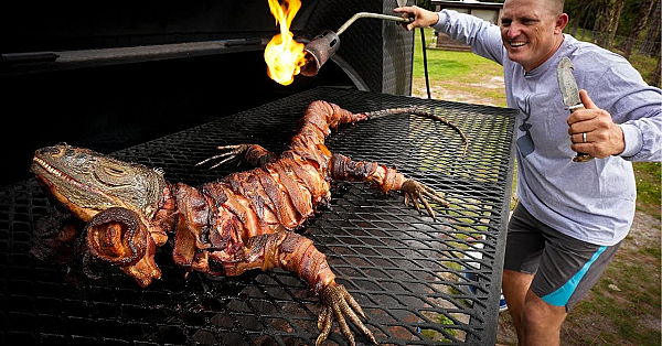 Giant Iguana Cooked Whole {catch Clean Cook} Bacon Wrapped Lizard